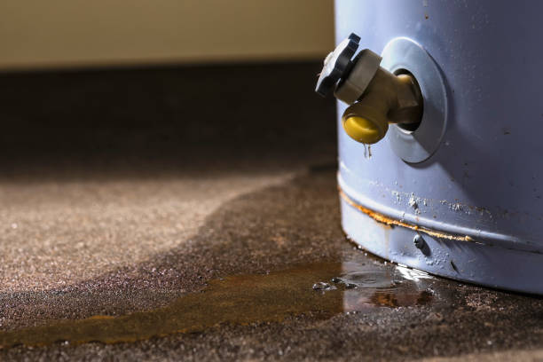 Best Ceiling water damage repair  in Crestline, OH