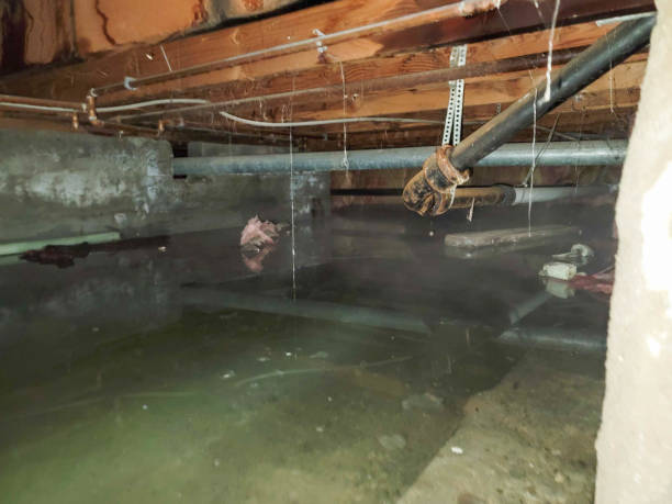 Best Professional water damage repair  in Crestline, OH