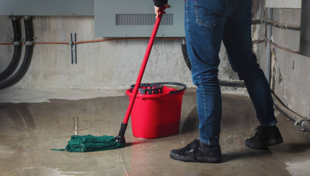 Best Water damage restoration process  in Crestline, OH