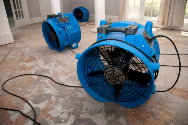 Best Mold removal after water damage  in Crestline, OH