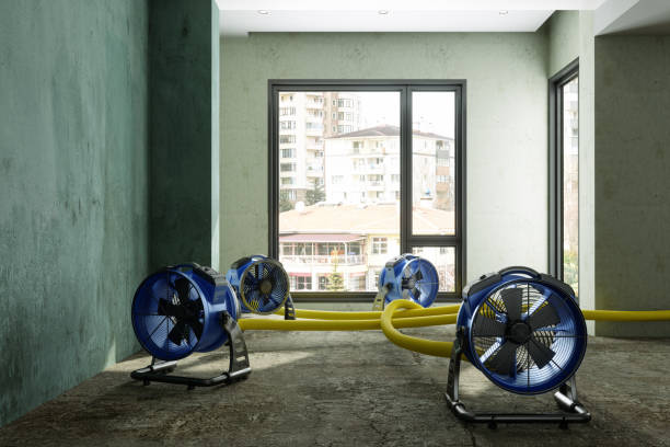 Best 24-hour water damage restoration  in Crestline, OH